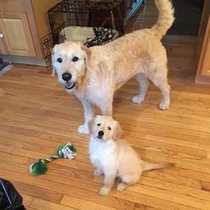 Meet your Posher, Kathy